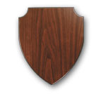 Arrow Head Shield